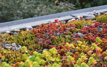the cost of Milden green roof installation
