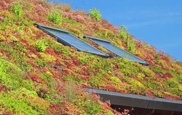 Milden living roof systems